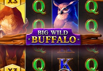 Игра Big Wild Buffalo в Beef казино