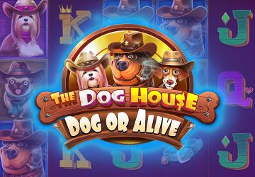 Игра The Dog House Dog Or Alive в Beef казино